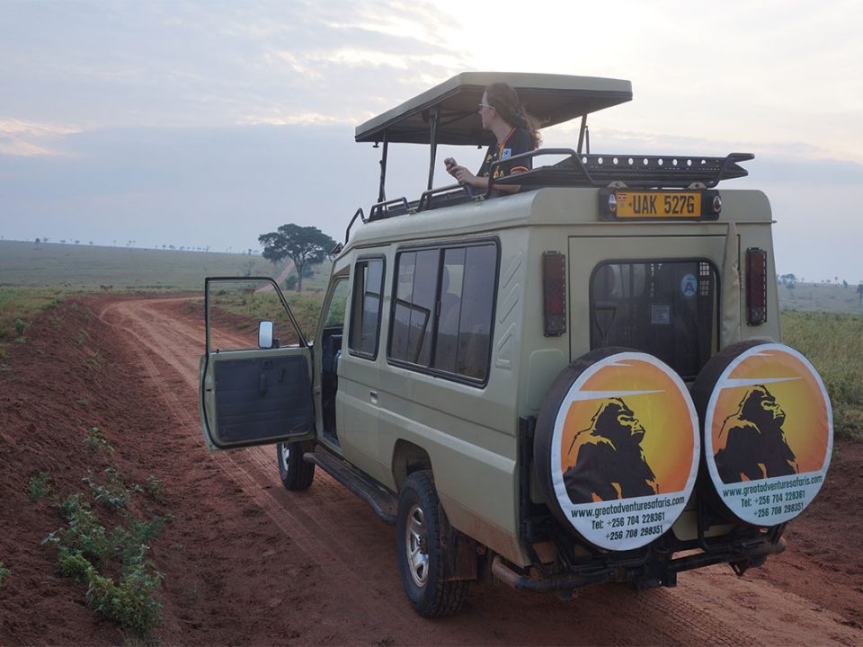 Best budget tour operator in Rwanda
